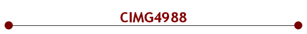 CIMG4988