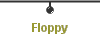 Floppy