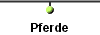 Pferde