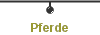 Pferde