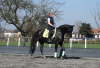 DSC00039 Ausschnitt
