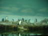 PICT0008