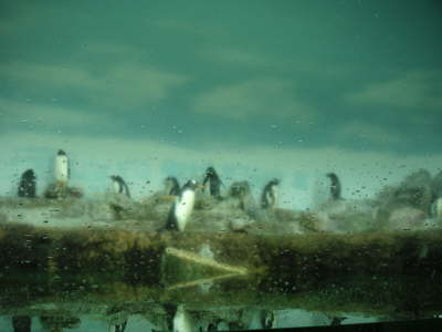 PICT0008
