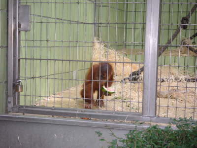 PICT0019
