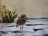 PICT0026