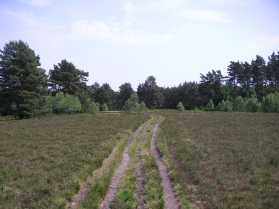 PICT0040